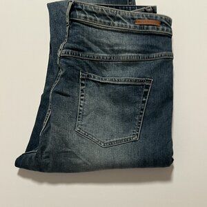 Anthropologie Pilcro and The Letterpress Superscript Jeans Women's size 32 Tall